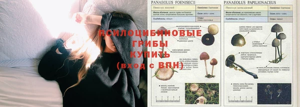 гидропоника Покров