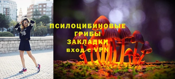 мдпв Покровск
