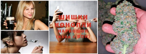 мдпв Покровск