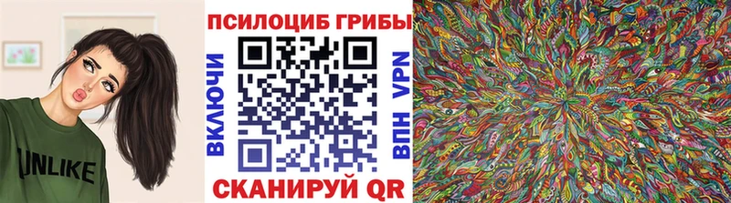 Купить  Ялта  Псилоцибиновые грибы мухоморы 